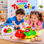 MUSICAL TORTOISE - Image 3